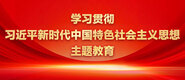 22性插影院学习贯彻习近平新时代中国特色社会主义思想主题教育_fororder_ad-371X160(2)